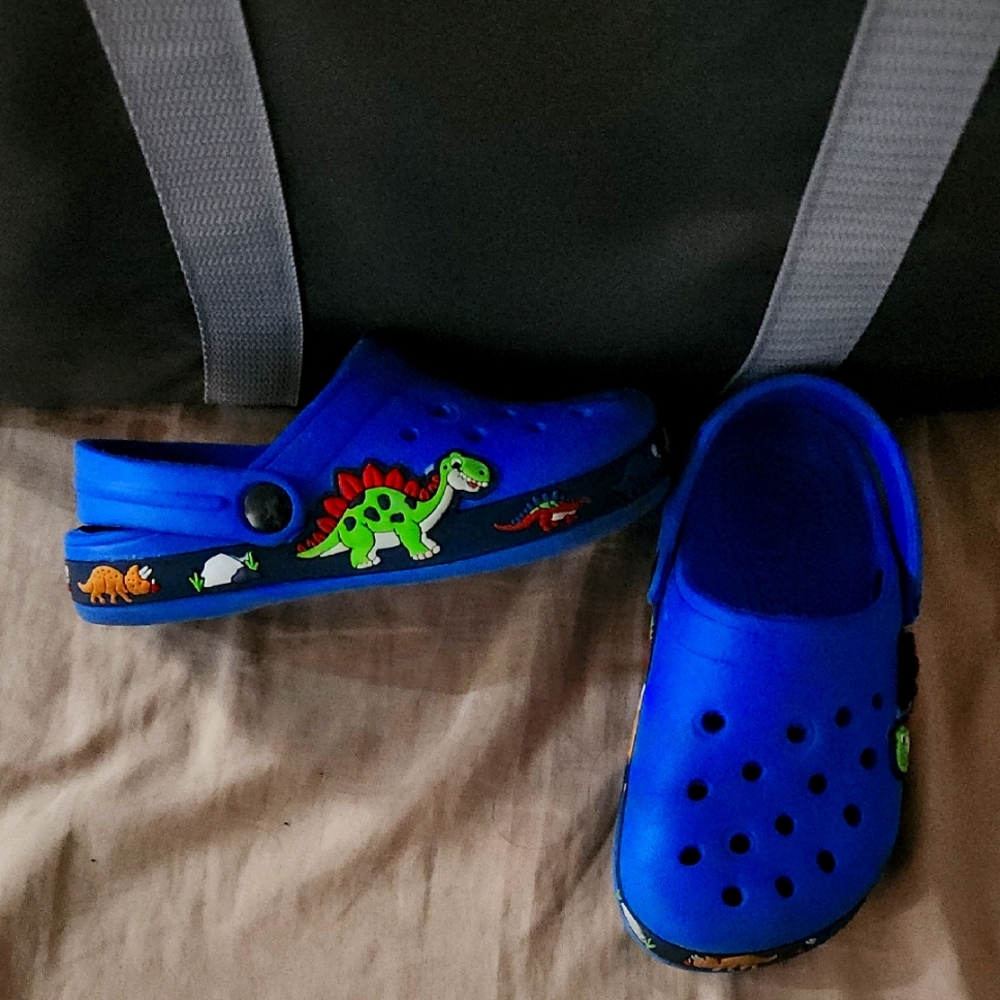 Fiedaz Kids Dinosaur Clogs